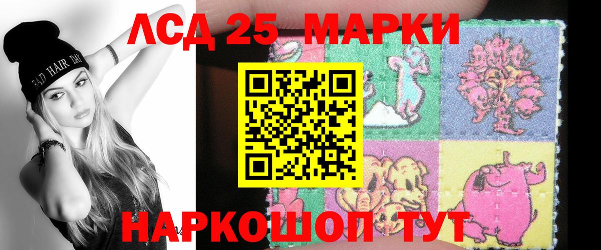 Галлюциногенные грибы Салехард