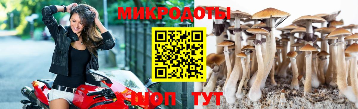 Галлюциногенные грибы Psilocybine cubensis  Вход с VPN  где найти наркотики  Салехард 